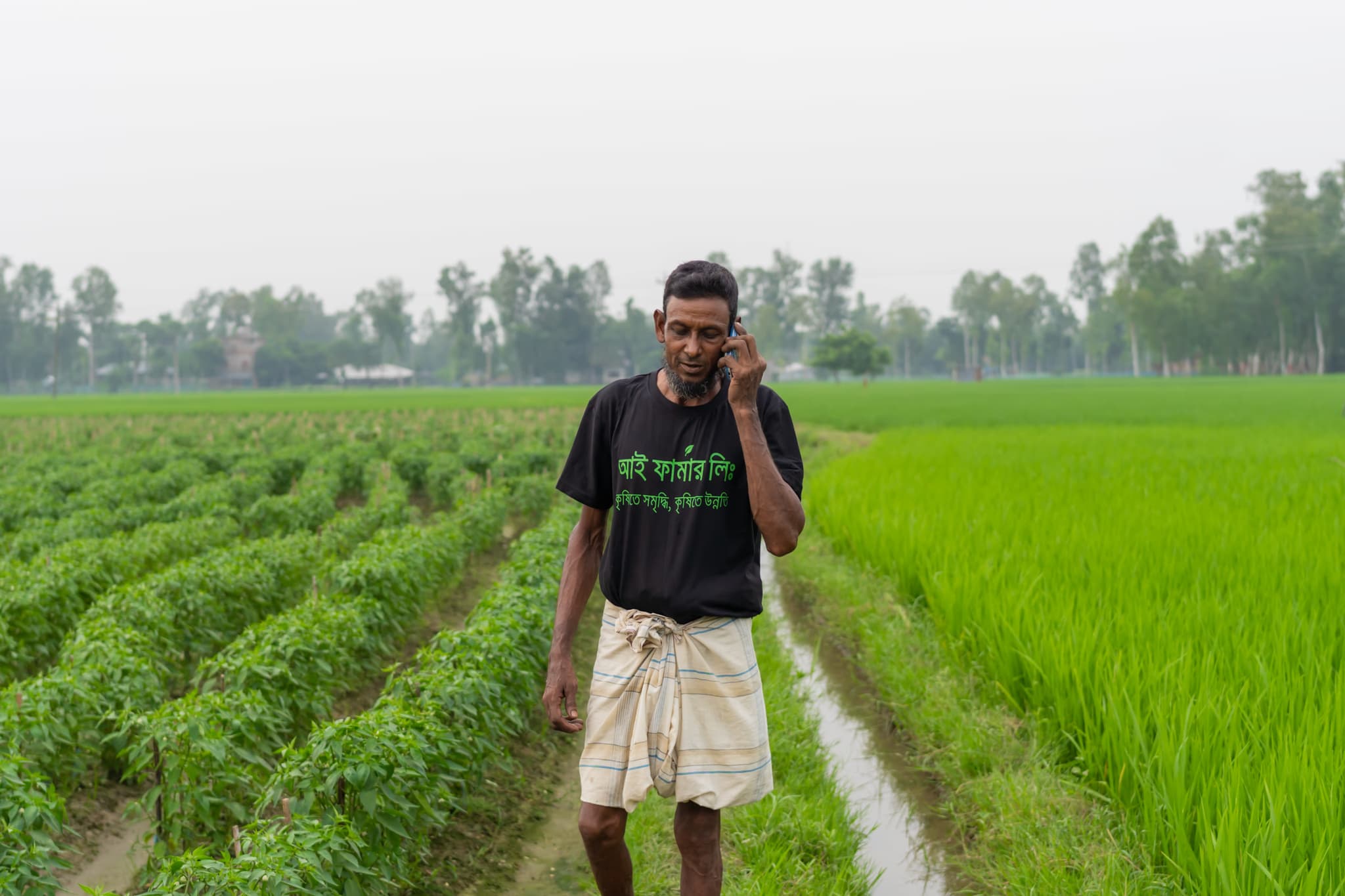 Women taking power in agriculture