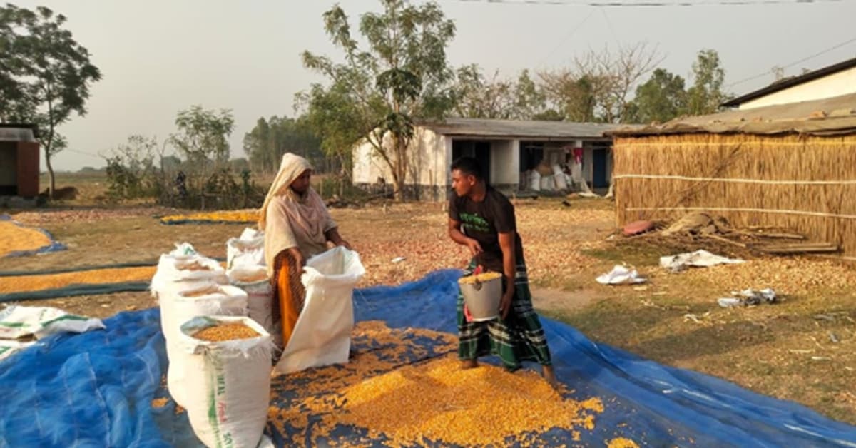 Contract Farming Gets a Boost