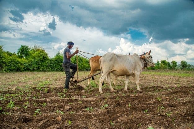 If You Ate Today, Thank a Farmer!
