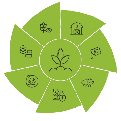 Agri Intelligence Shape